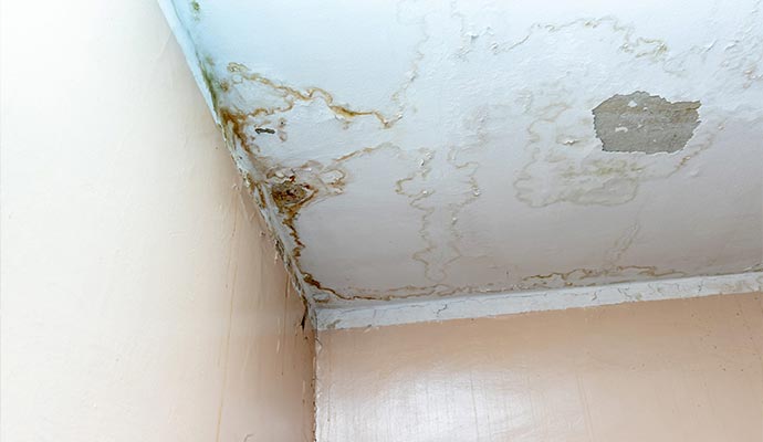 Ways To Spot Water Damage In Your Home