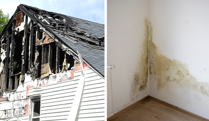 Dry Ice Cleaning in Fire Damage and Mold Remediation