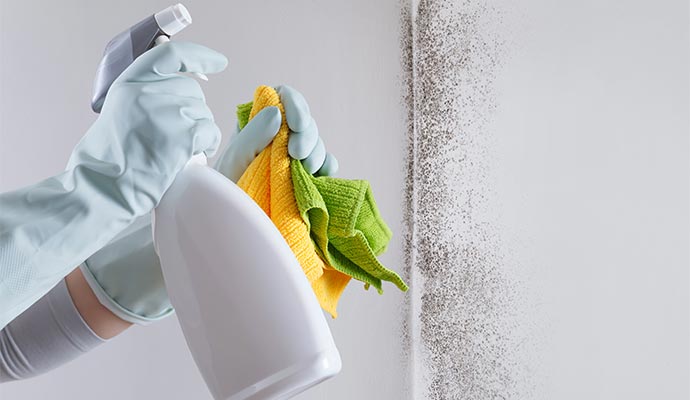 lady cleaning mold or mildew