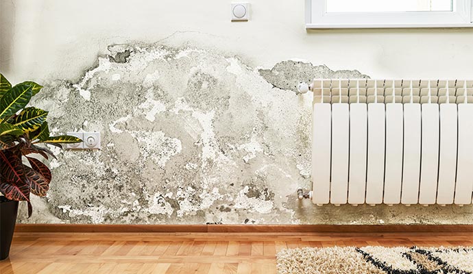 Proper Home Ventilation to Prevent Mold Growth - Water damage