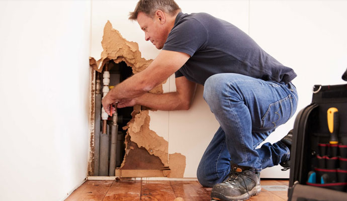 Advantages of Getting an Estimate From Professional Restoration Contractor