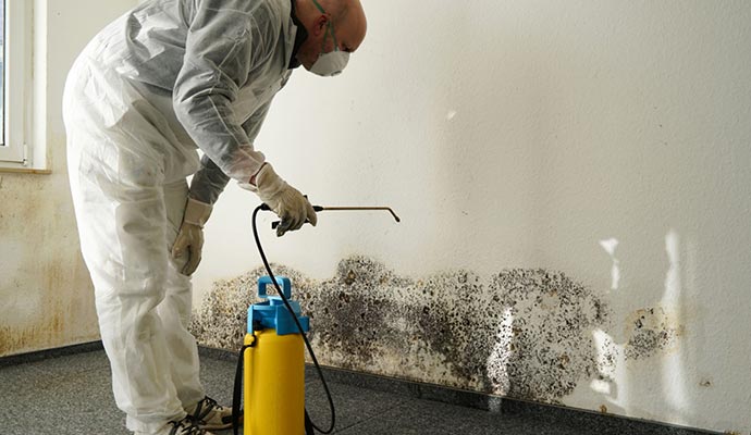 Certified professional providing mold remediation service Certified professional providing mold remediation service