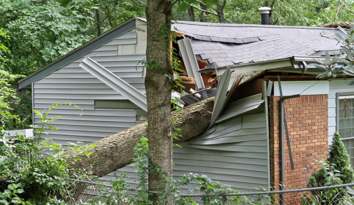 house damaged by fallen tree