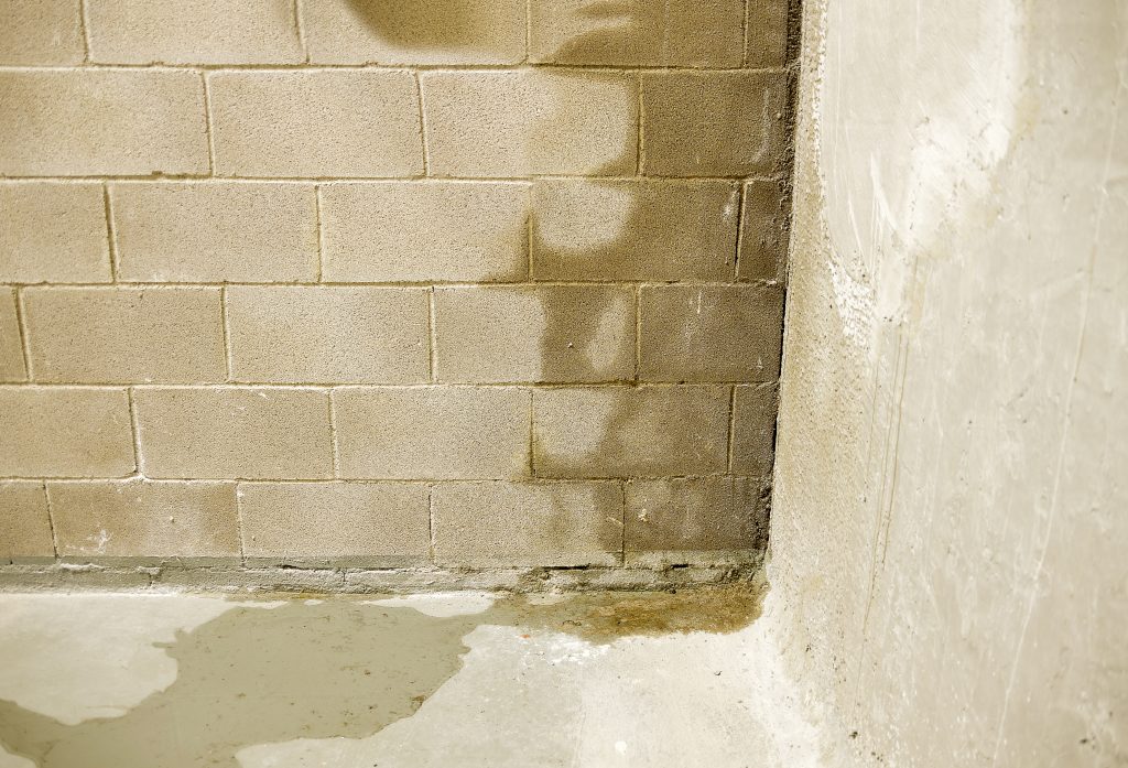 water leak behind the wall in kitchen sink drain