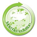 Mold remediation icon