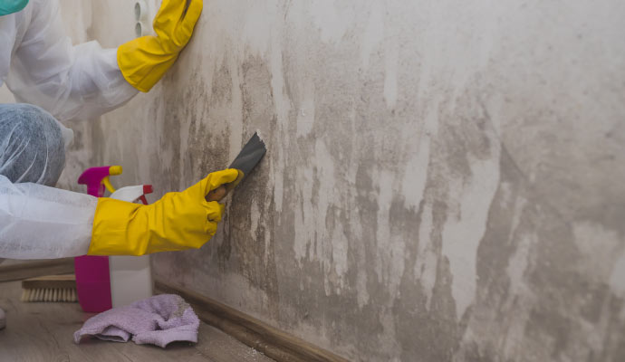 Person removing mold from wall