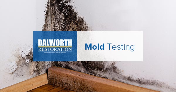 What is Mold Testing Know if Your DFW Home is Mold Free