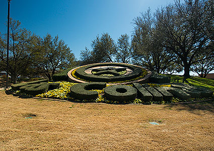 The Las Colinas Flower Clock is a fully-functioning timepiece that is decorated with fresh flowers and greenery year-round in Irving, TX.
