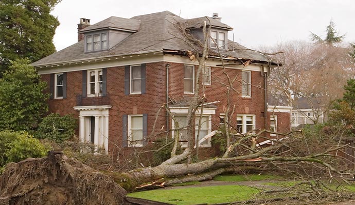 Tree fallen on house roof due to wind Tree fallen on house roof due to wind