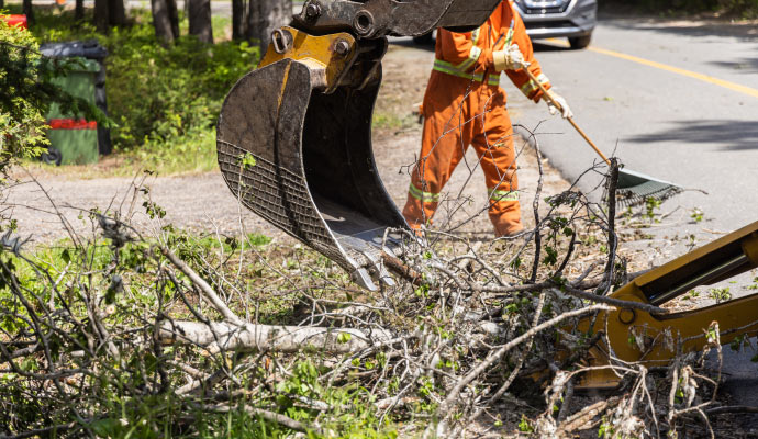 Storm damage restoration service