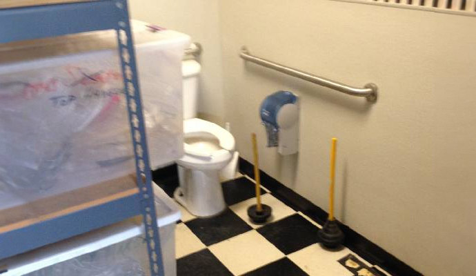 Toilet Overflow Cleanup Case Study 