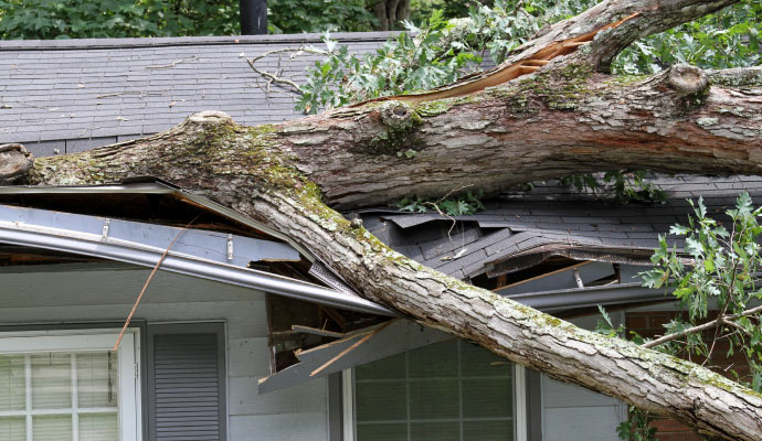 Storm caused tree damage to house roof