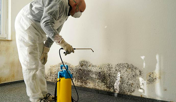 Mold removal treatment on a wall Expert removing mold from a wall