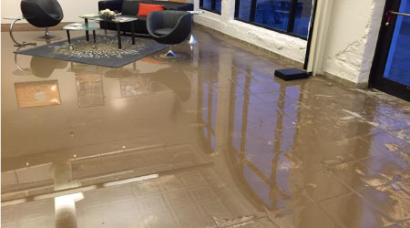 Water Damage Insurance Claim Support in Dallas-Fort Worth
