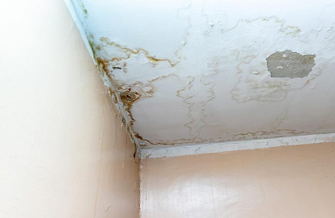Stains from Water Damage Removal in Dallas/Fort Worth, TX