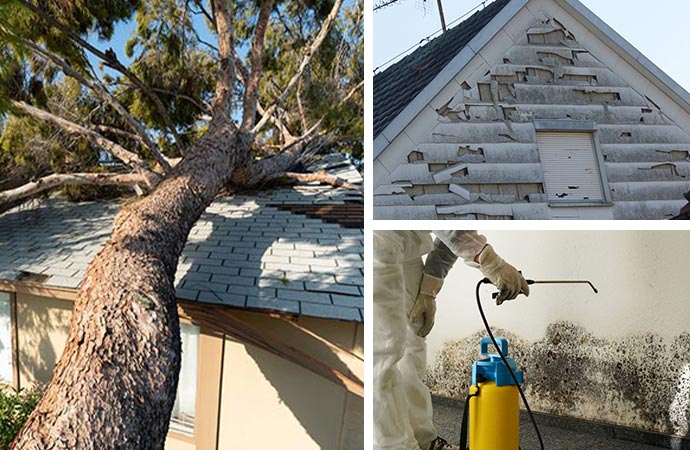 Various types of damage scenario like hail and mold damage