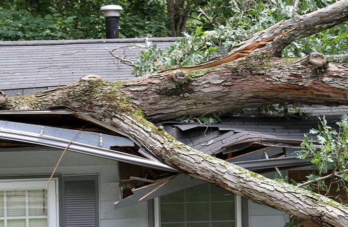Straight Line Winds Damage Repair in DFW
